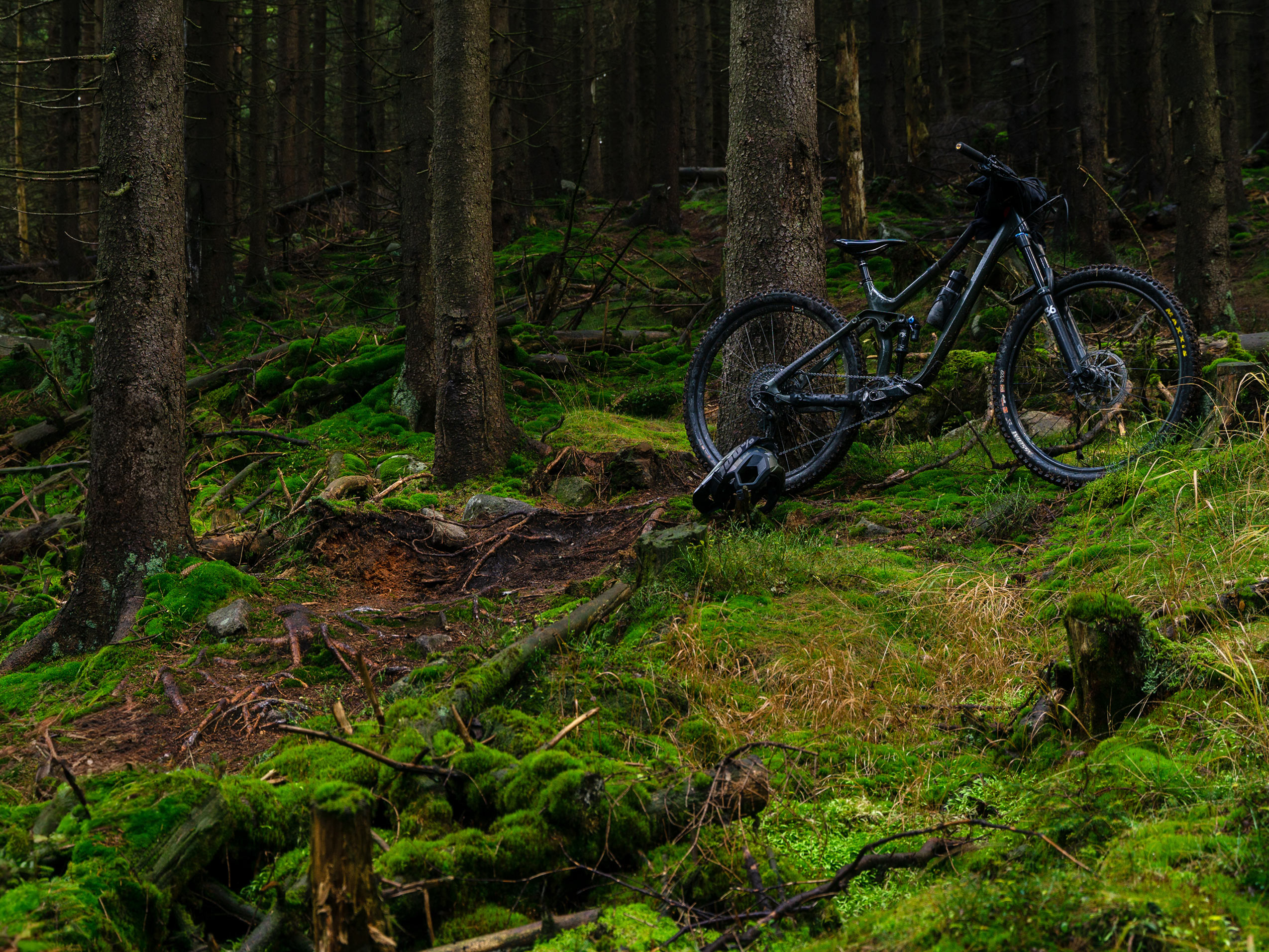 Bike & E-Bike