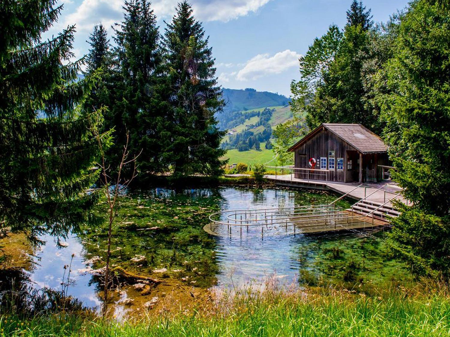 Schwandalpweiher